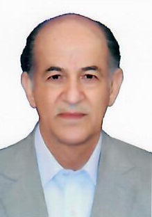 حسن ابوهادی